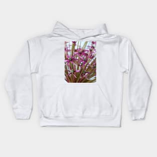 Allium  &#39;Spider&#39;  Ornamental onion Kids Hoodie